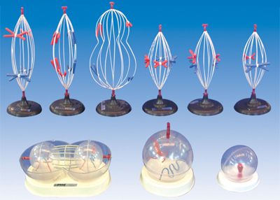  Mô hình phân chia tế bào